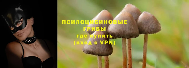 Галлюциногенные грибы Magic Shrooms  купить наркотики цена  Ачинск 